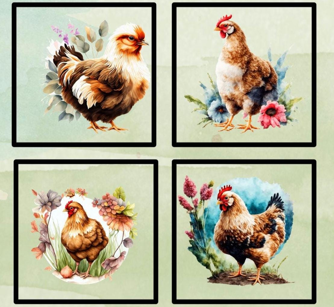 Chicken Farm Quilt Panel and Blocks: Poultry Cotton Fabric, Chickens Fabric