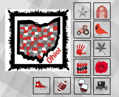 Ohio Quilt Panel & Blocks:  Cotton Beginner Quilt Fabric, Ohio Map Quilt Panel