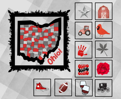 Ohio Quilt Panel & Blocks:  Cotton Beginner Quilt Fabric, Ohio Map Quilt Panel