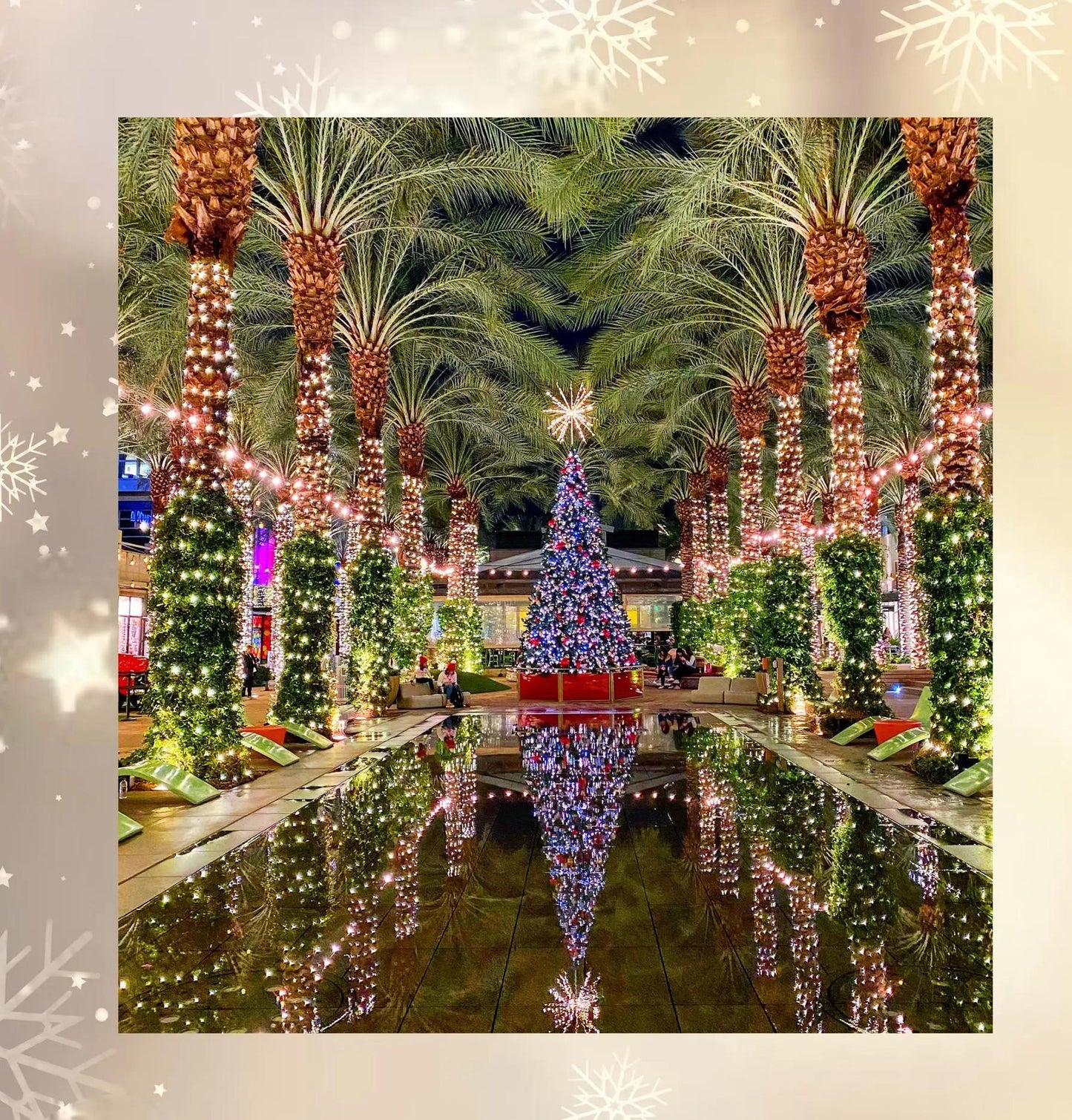 Christmas Tree Quilt Panel and Block Combo, Easy Quilt Project, Christmas Quilt