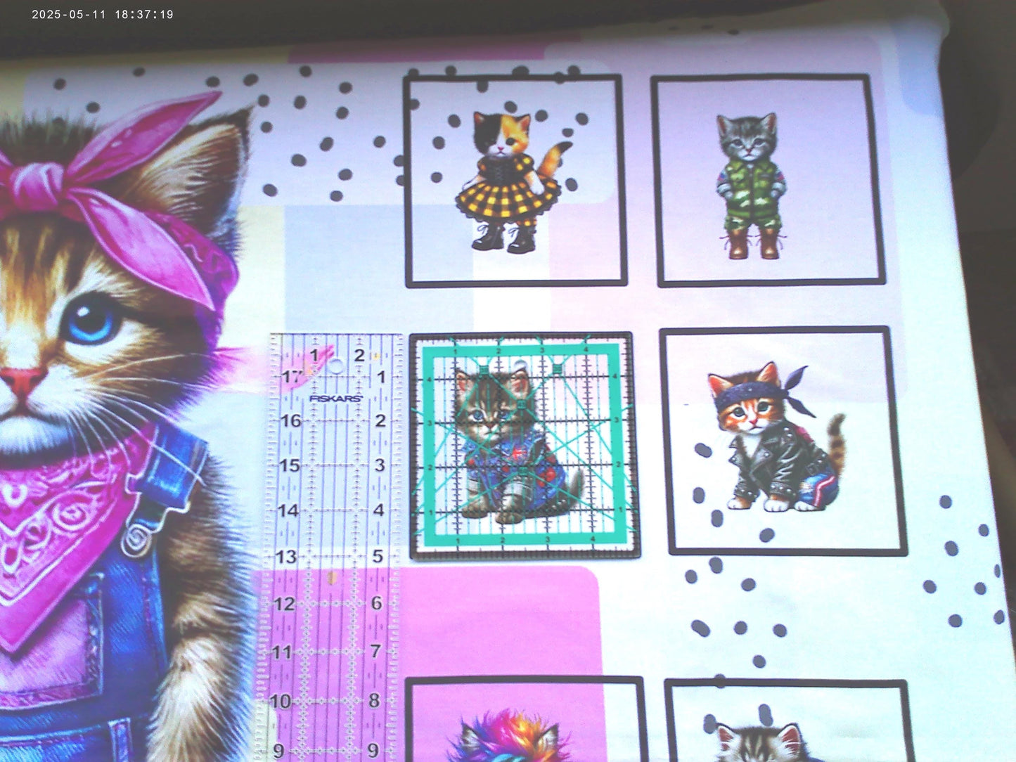 Kitten Quilt Panel & Blocks, Fashion Show, Cat Fashion. Show