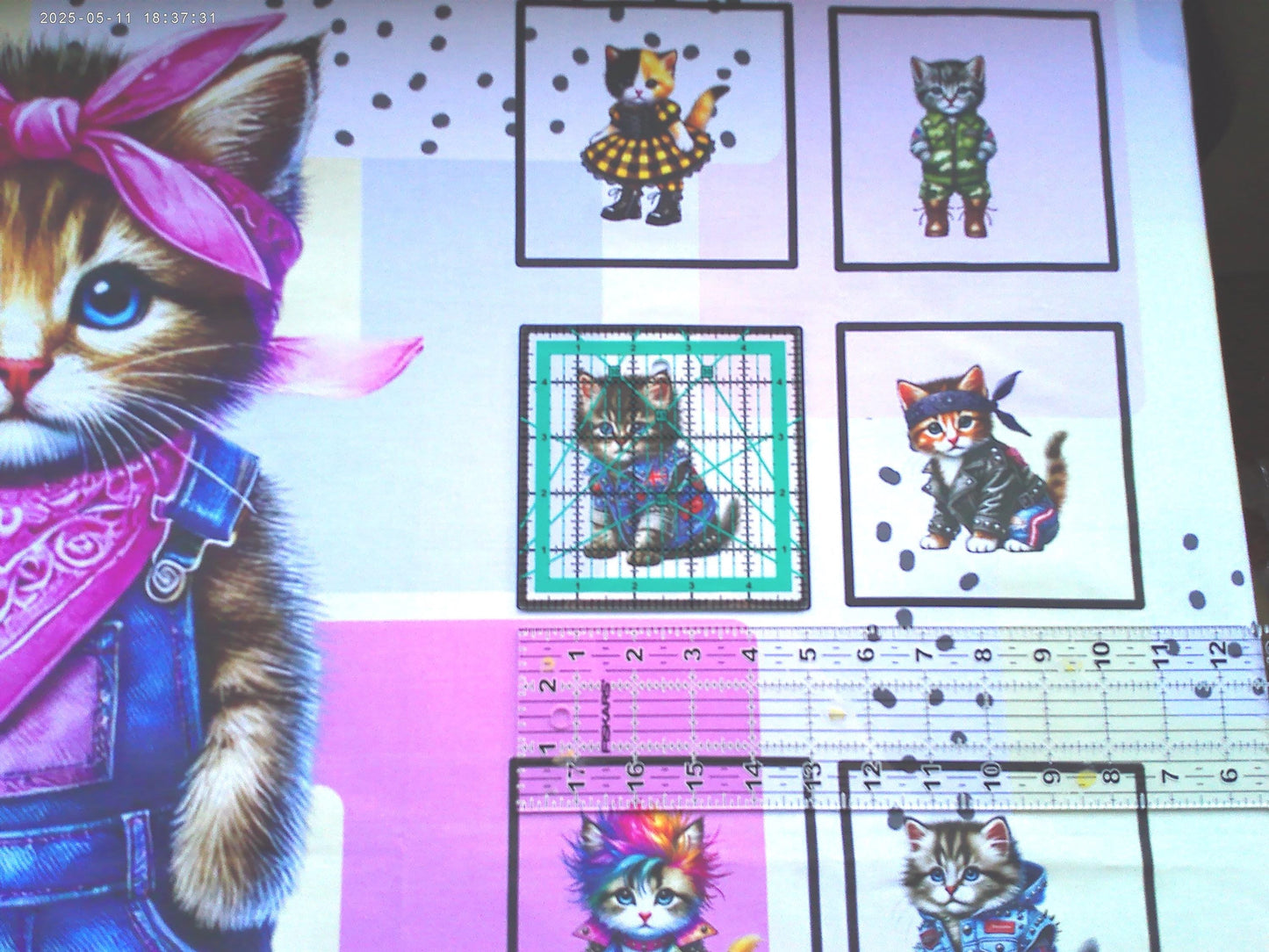 Kitten Quilt Panel & Blocks, Fashion Show, Cat Fashion. Show