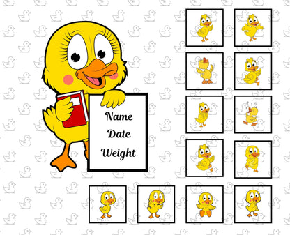 Duckie Quilt Panel and Blocks, Personalizable Ducky Quilt, Yellow Rubber Ducky, Quilt Medallion, Baby Shower, New Baby Quilt