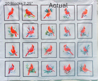 Cardinal Quilt Blocks, Cotton Fabric Panel, Window Quilts, Cardinal Fabric, Quilted Coaster, Quality Quilt Fabric