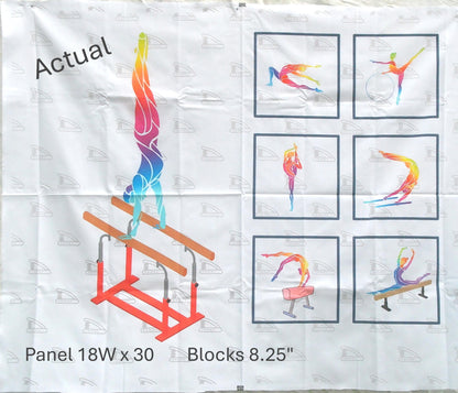 Gymnast Quilt Panel and Blocks, Quilt In A Day, Easy Quilt,  Rainbow  Gymnast,  Pink and Purple Gymnast