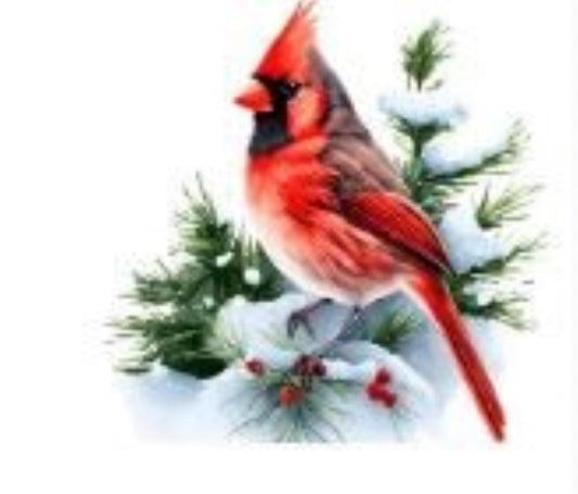 Cardinal Quilt Blocks, Cotton Fabric Panel, Window Quilts, Cardinal Fabric, Quilted Coaster, Quality Quilt Fabric