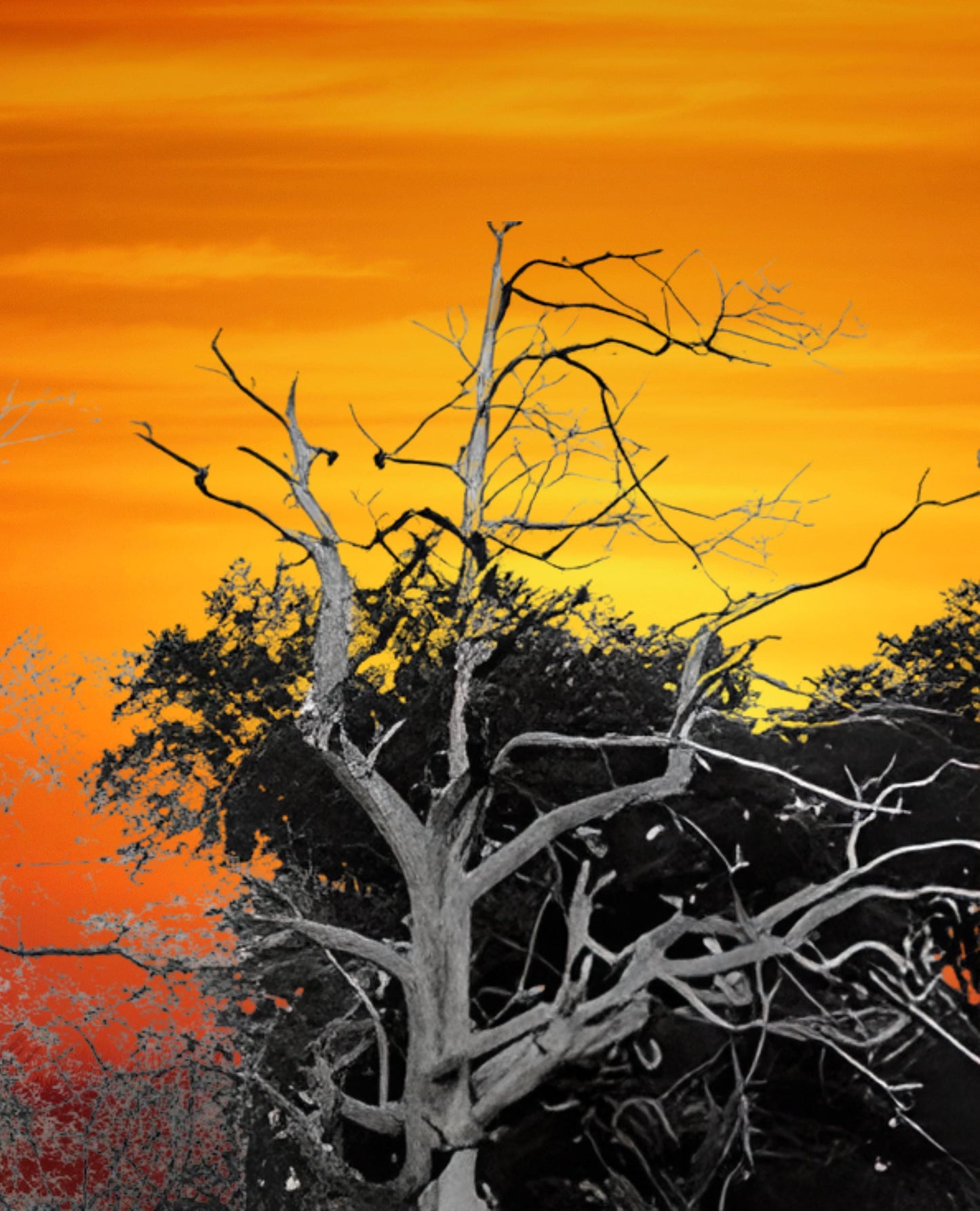 Custom Quilt Panel and Blocks Design, Your Photo on Fabric, Custom Photo Quilt Squares