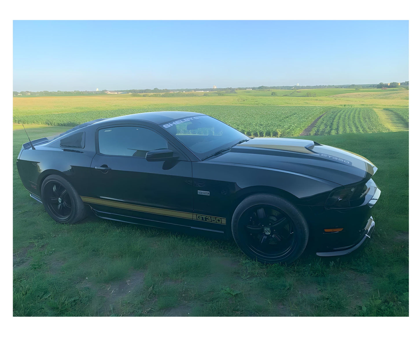 Custom Quilt Panel and Blocks Design, Your Photo on Fabric, Custom Photo Quilt Squares