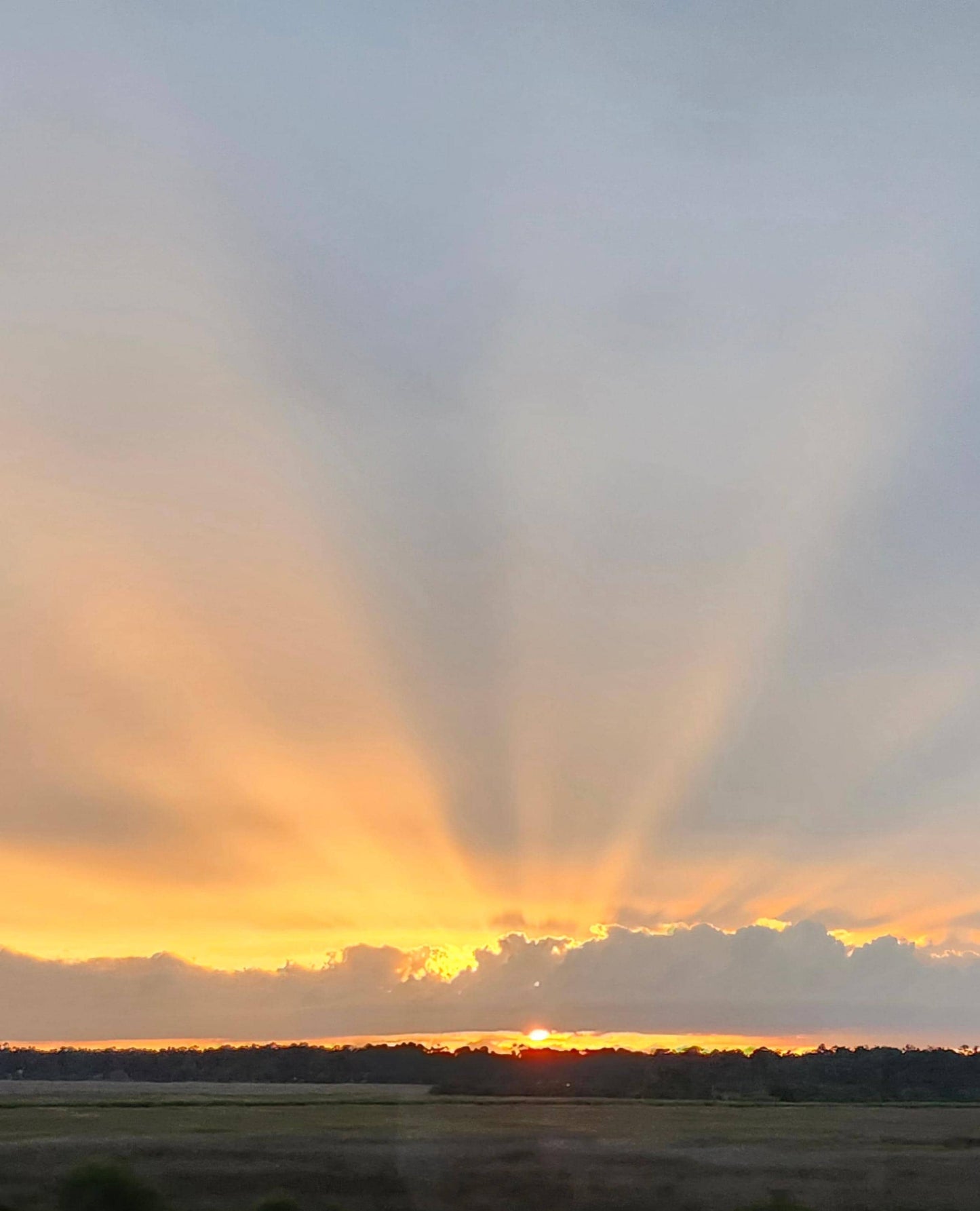 Custom Quilt Panel and Blocks Design, Your Photo on Fabric, Custom Photo Quilt Squares